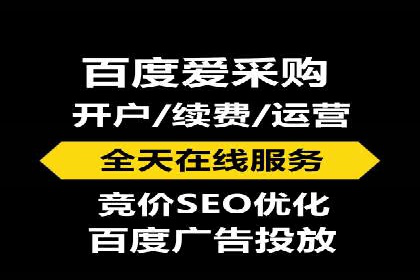 百度竞价代理的客户服务与支持体系介绍